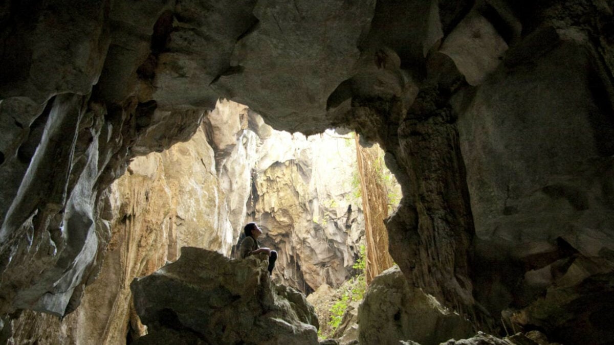 Dans la grotte d'Oncle Boonmee