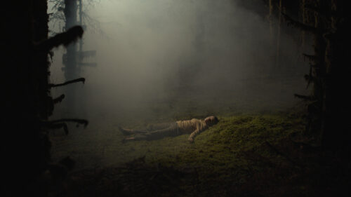 Fran (Daisy Ridley) s'imagine morte dans une forêt dans Sometimes I Think About Dying