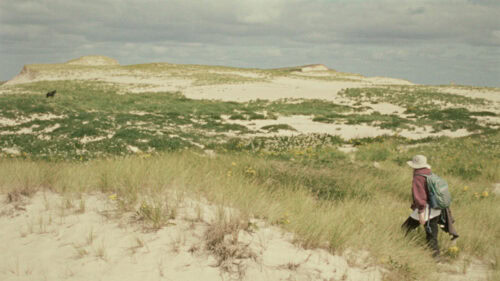 Zoé Lucas sur l'île de Sable dans Geographies of Solitude