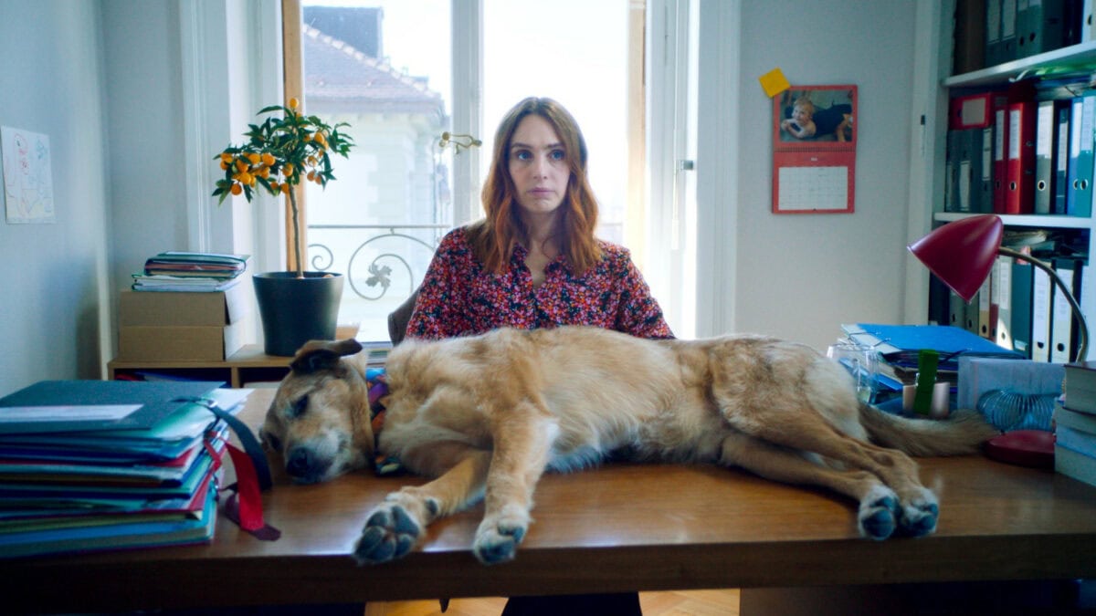 Cosmos couché sur le bureau de Lætitia Dosch dans Le Procès du chien